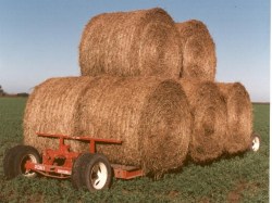 Acoplados_Pony_50606f0ce0684.jpg